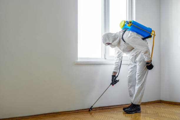 Pest Prevention Services in Hopkins, MN