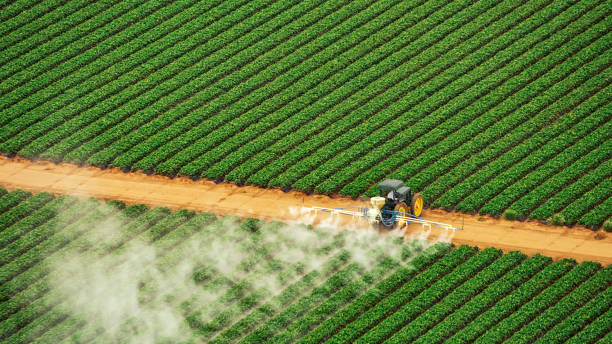 Best Pest Control Treatment  in Hopkins, MN