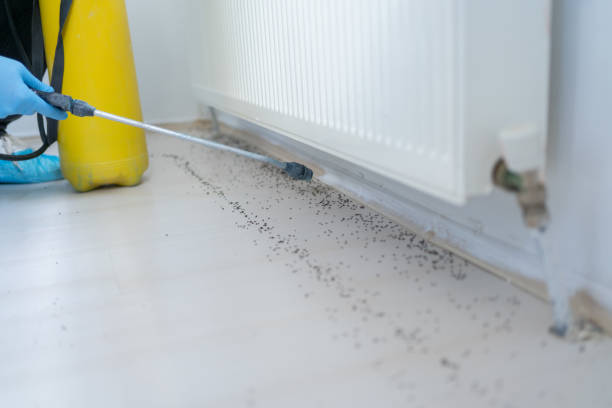 Best Pest Removal Services  in Hopkins, MN