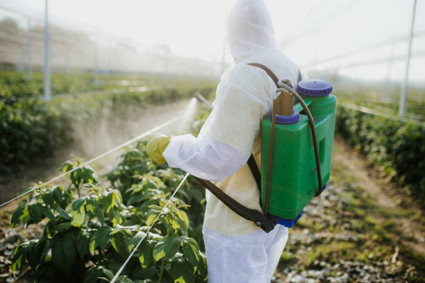 Hopkins, MN Pest Control Company